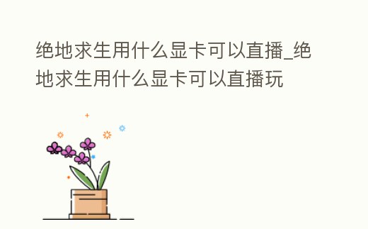 絕地求生用什么顯卡可以直播_絕地求生用什么顯卡可以直播玩