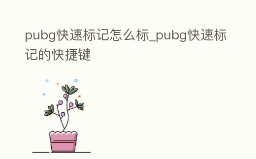 pubg快速標記怎么標_pubg快速標記的快捷鍵