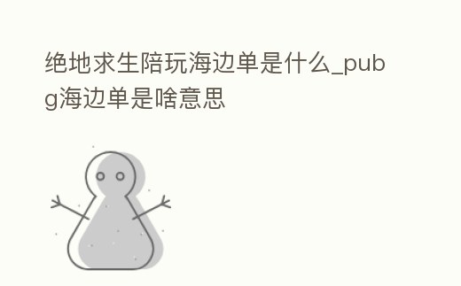 絕地求生陪玩海邊單是什么_pubg海邊單是啥意思