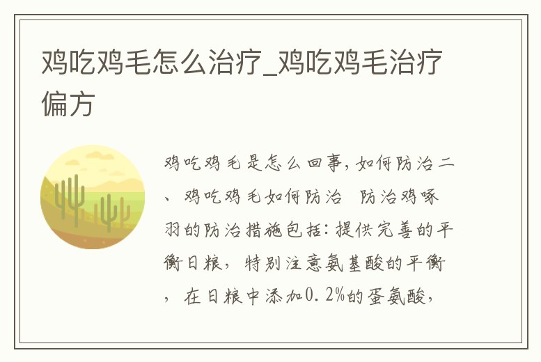 雞吃雞毛怎么治療_雞吃雞毛治療偏方