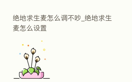 絕地求生麥怎么調不吵_絕地求生麥怎么設置