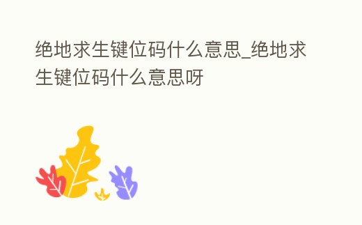 絕地求生鍵位碼什么意思_絕地求生鍵位碼什么意思呀