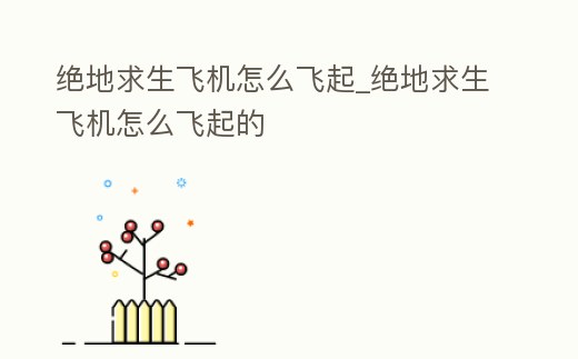 絕地求生飛機怎么飛起_絕地求生飛機怎么飛起的
