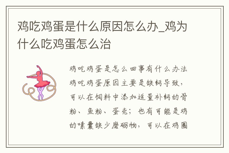 雞吃雞蛋是什么原因怎么辦_雞為什么吃雞蛋怎么治