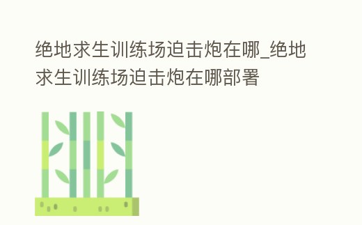 絕地求生訓練場迫擊炮在哪_絕地求生訓練場迫擊炮在哪部署