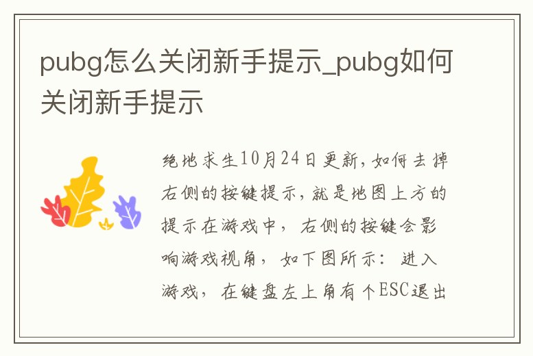 pubg怎么關閉新手提示_pubg如何關閉新手提示