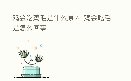 雞會(huì)吃雞毛是什么原因_雞會(huì)吃毛是怎么回事