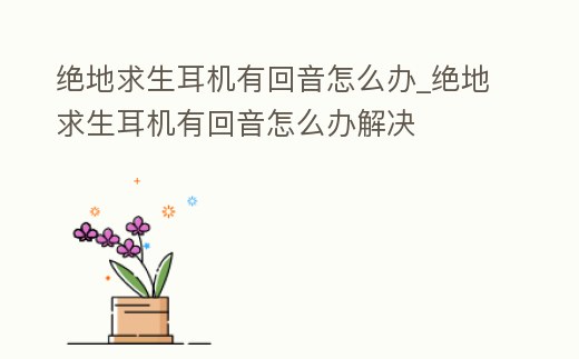 絕地求生耳機有回音怎么辦_絕地求生耳機有回音怎么辦解決