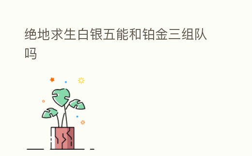 絕地求生白銀五能和鉑金三組隊嗎