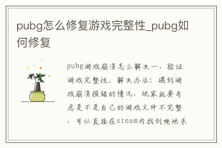 pubg怎么修復(fù)游戲完整性_pubg如何修復(fù)