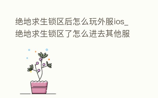 絕地求生鎖區后怎么玩外服ios_絕地求生鎖區了怎么進去其他服務器