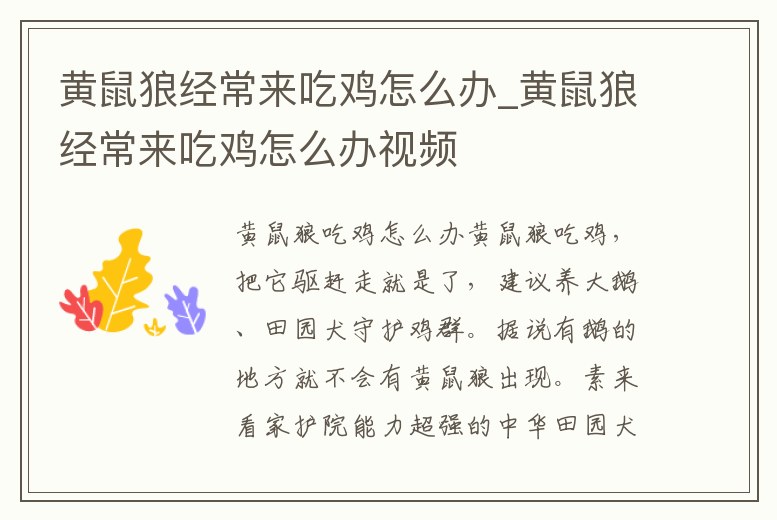 黃鼠狼經常來吃雞怎么辦_黃鼠狼經常來吃雞怎么辦視頻