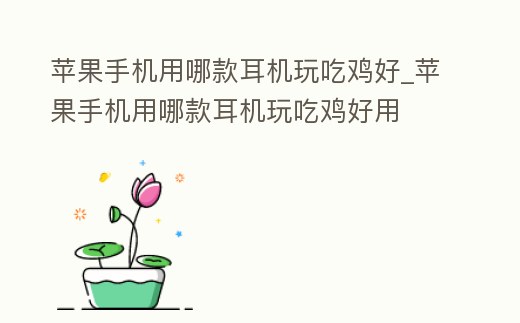 蘋果手機用哪款耳機玩吃雞好_蘋果手機用哪款耳機玩吃雞好用
