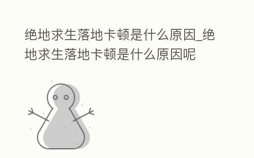 絕地求生落地卡頓是什么原因_絕地求生落地卡頓是什么原因呢