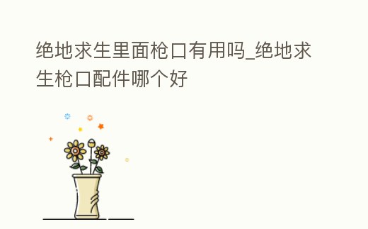 絕地求生里面槍口有用嗎_絕地求生槍口配件哪個好