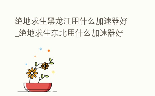 絕地求生黑龍江用什么加速器好_絕地求生東北用什么加速器好