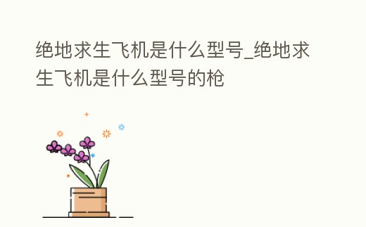 絕地求生飛機是什么型號_絕地求生飛機是什么型號的槍