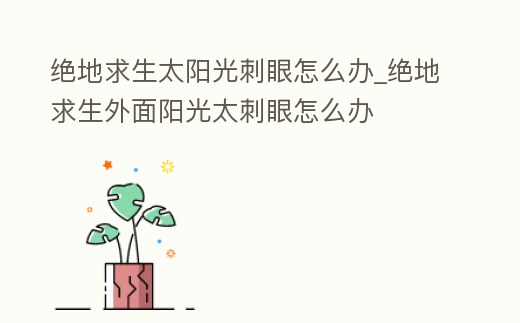 絕地求生太陽光刺眼怎么辦_絕地求生外面陽光太刺眼怎么辦