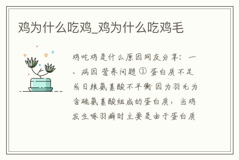 雞為什么吃雞_雞為什么吃雞毛