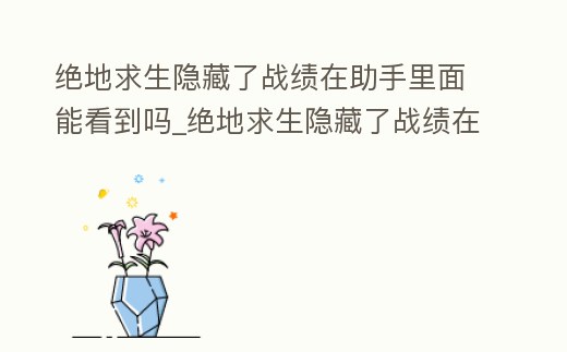 絕地求生隱藏了戰績在助手里面能看到嗎_絕地求生隱藏了戰績在助手里面能看到嗎安卓