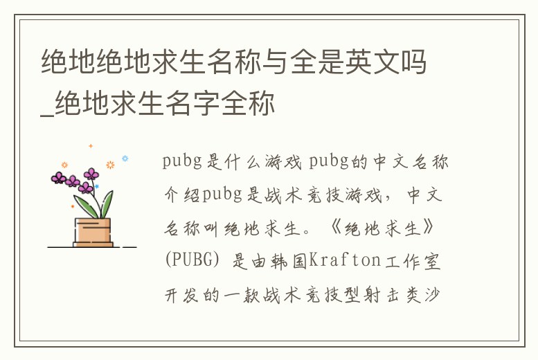 絕地絕地求生名稱與全是英文嗎_絕地求生名字全稱