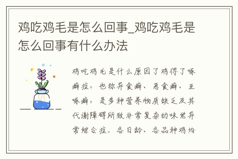 雞吃雞毛是怎么回事_雞吃雞毛是怎么回事有什么辦法