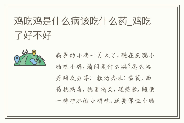 雞吃雞是什么病該吃什么藥_雞吃了好不好
