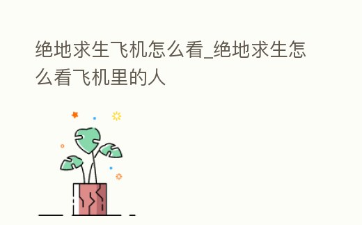 絕地求生飛機怎么看_絕地求生怎么看飛機里的人