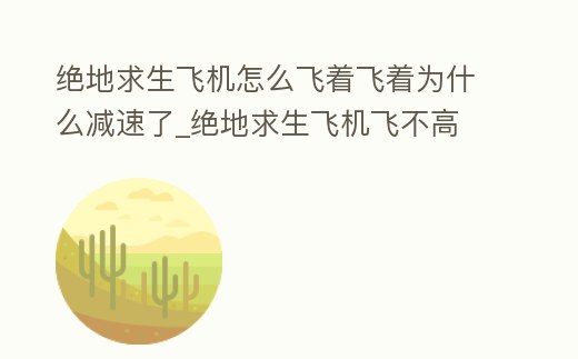 絕地求生飛機怎么飛著飛著為什么減速了_絕地求生飛機飛不高