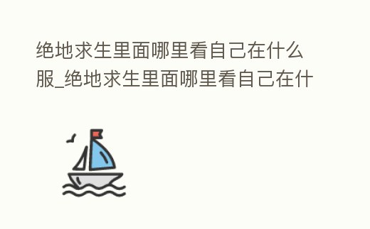 絕地求生里面哪里看自己在什么服_絕地求生里面哪里看自己在什么服務