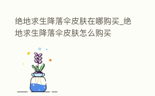 絕地求生降落傘皮膚在哪購買_絕地求生降落傘皮膚怎么購買