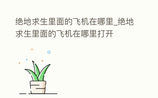 絕地求生里面的飛機在哪里_絕地求生里面的飛機在哪里打開