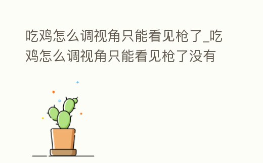 吃雞怎么調(diào)視角只能看見槍了_吃雞怎么調(diào)視角只能看見槍了沒有