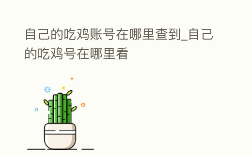 自己的吃雞賬號在哪里查到_自己的吃雞號在哪里看