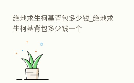 絕地求生柯基背包多少錢_絕地求生柯基背包多少錢一個