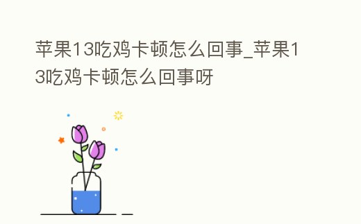 蘋果13吃雞卡頓怎么回事_蘋果13吃雞卡頓怎么回事呀