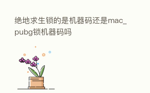 絕地求生鎖的是機器碼還是mac_pubg鎖機器碼嗎