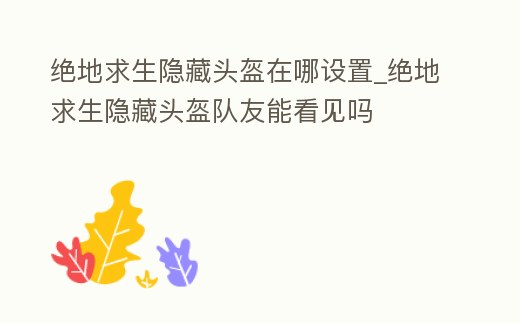 絕地求生隱藏頭盔在哪設置_絕地求生隱藏頭盔隊友能看見嗎