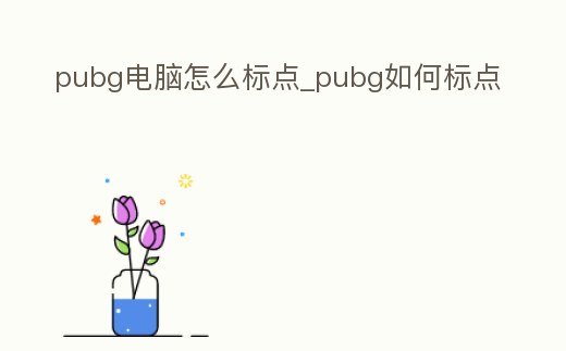 pubg電腦怎么標點_pubg如何標點