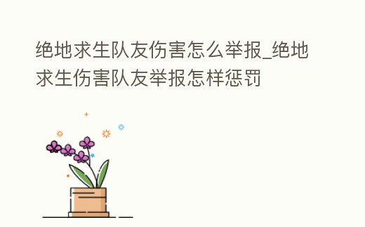 絕地求生隊友傷害怎么舉報_絕地求生傷害隊友舉報怎樣懲罰