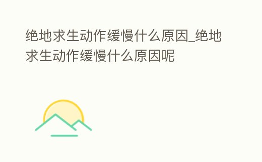 絕地求生動作緩慢什么原因_絕地求生動作緩慢什么原因呢