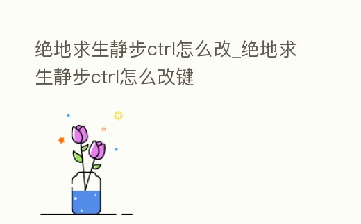 絕地求生靜步ctrl怎么改_絕地求生靜步ctrl怎么改鍵