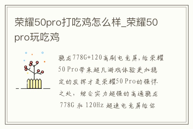 榮耀50pro打吃雞怎么樣_榮耀50pro玩吃雞