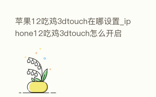 蘋果12吃雞3dtouch在哪設置_iphone12吃雞3dtouch怎么開啟