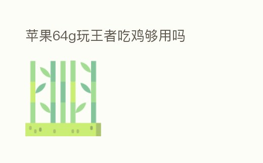 蘋果64g玩王者吃雞夠用嗎