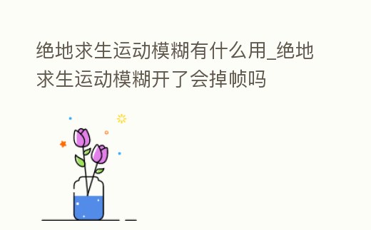 絕地求生運(yùn)動(dòng)模糊有什么用_絕地求生運(yùn)動(dòng)模糊開了會(huì)掉幀嗎