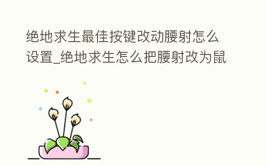 絕地求生最佳按鍵改動腰射怎么設置_絕地求生怎么把腰射改為鼠標側鍵