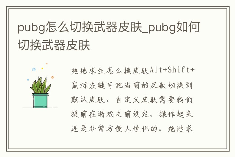 pubg怎么切換武器皮膚_pubg如何切換武器皮膚