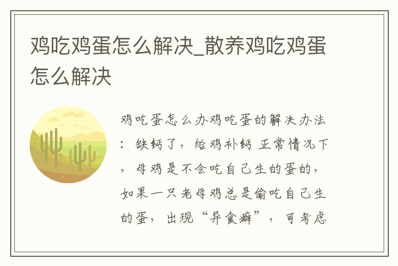 雞吃雞蛋怎么解決_散養(yǎng)雞吃雞蛋怎么解決