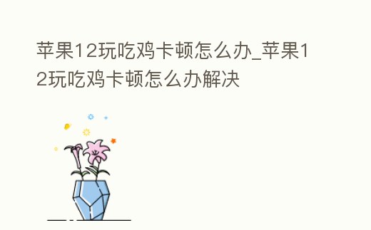 蘋果12玩吃雞卡頓怎么辦_蘋果12玩吃雞卡頓怎么辦解決